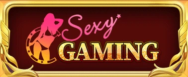 ค่ายเกมส์ (14)